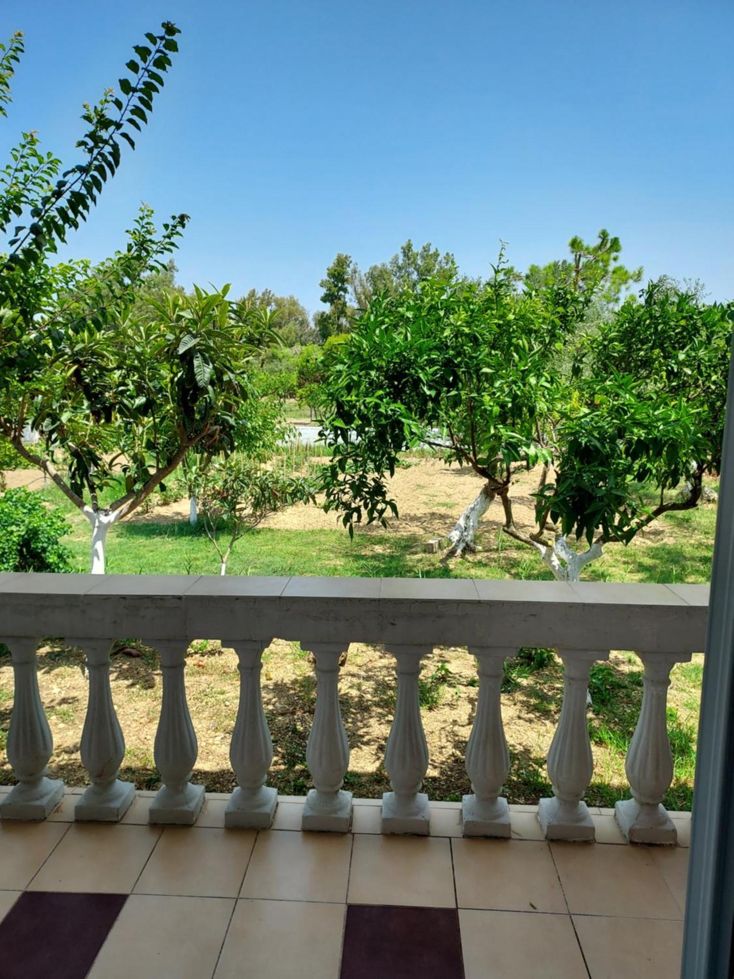 Canditas Studios Tsilivi  Extérieur photo