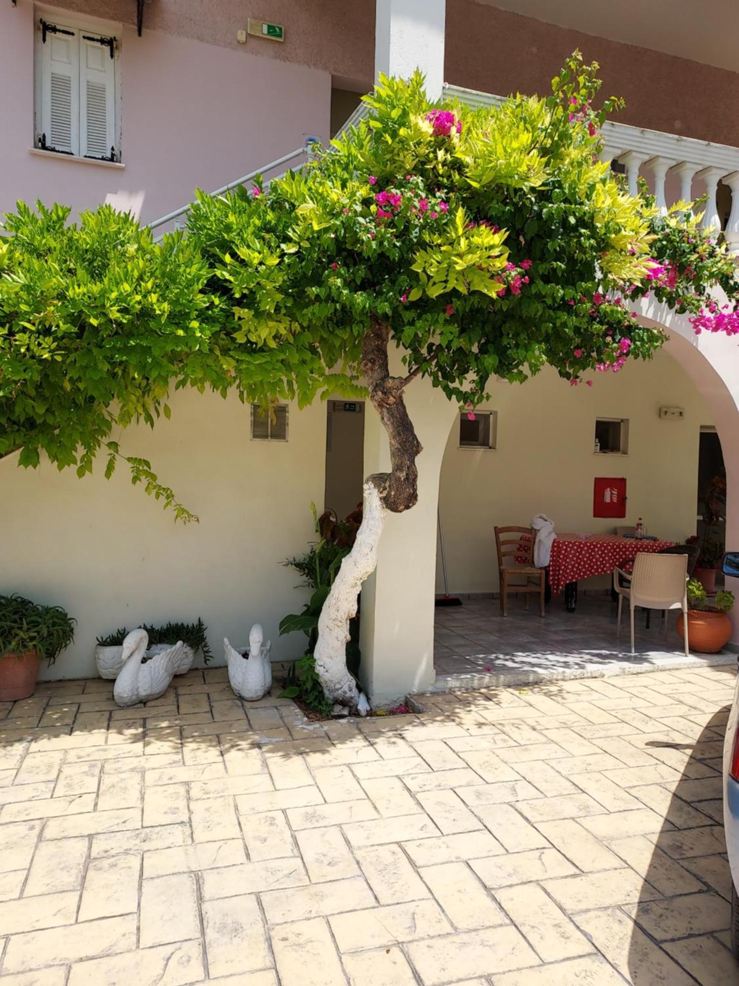 Canditas Studios Tsilivi  Extérieur photo